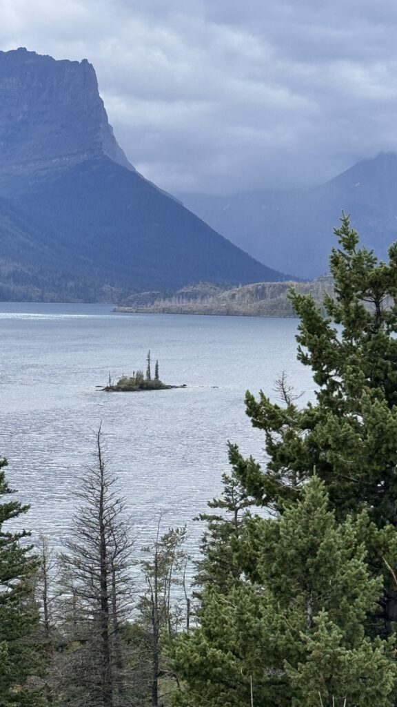 wild goose island