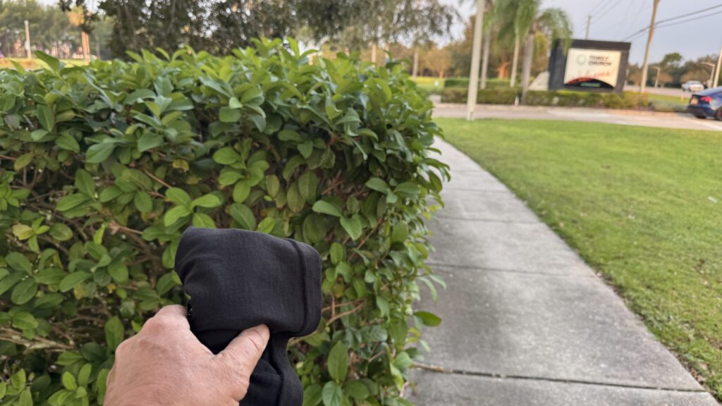 Sidewalk next to hedge