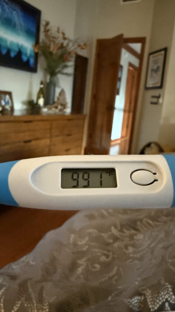 Body temperature thermometer