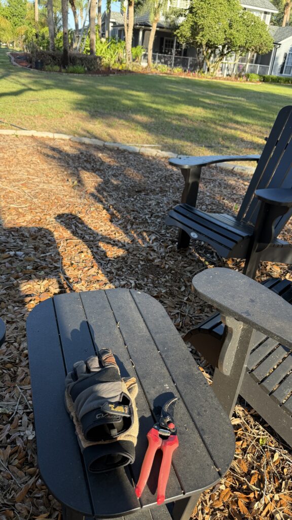 Table with gloves and garden clipper