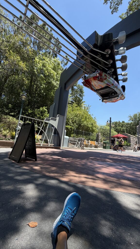Disney park from ground level